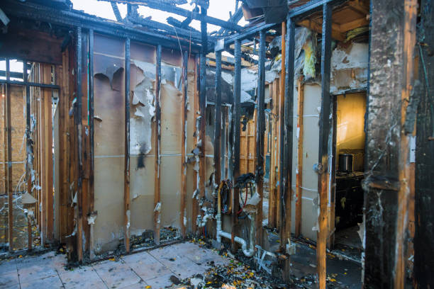Professional Odor Removal technician working in Riviera Beach, FL